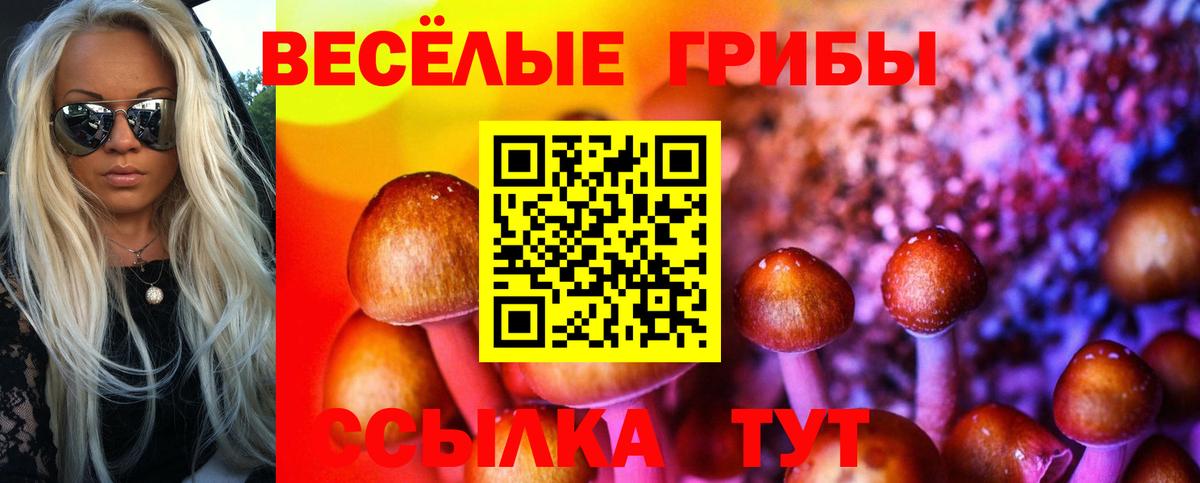 Псилоцибиновые грибы MAGIC MUSHROOMS Кимовск