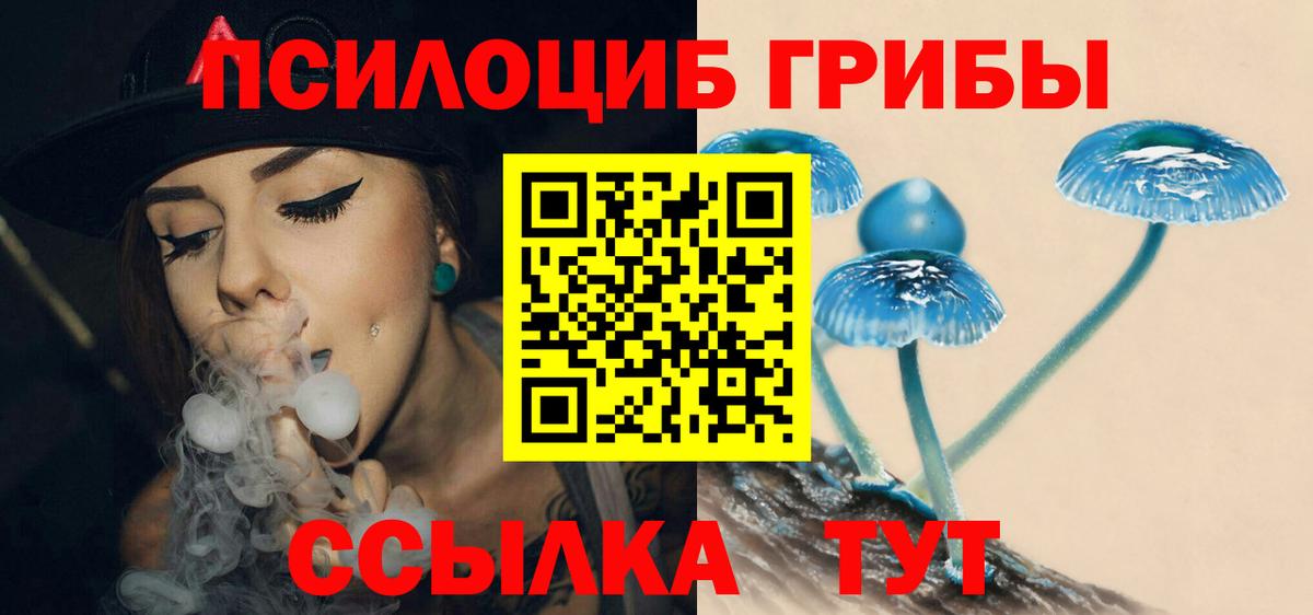 Галлюциногенные грибы прущие грибы  Вход с VPN  Кимовск 
